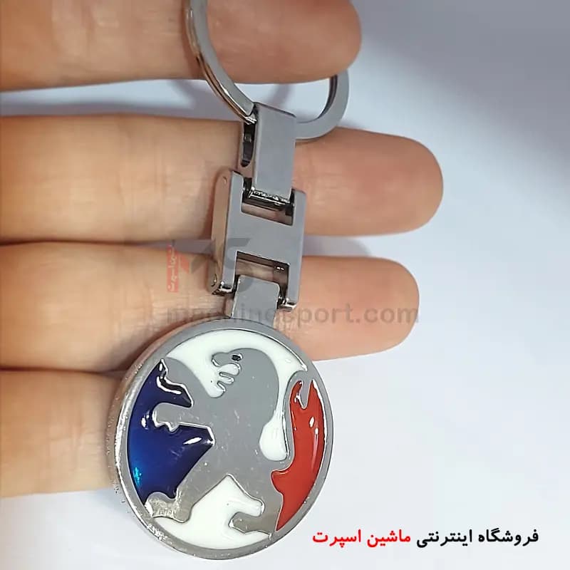 جاسوئیچی پژو سه رنگ پرچم فرانسه — تصویر ۲
