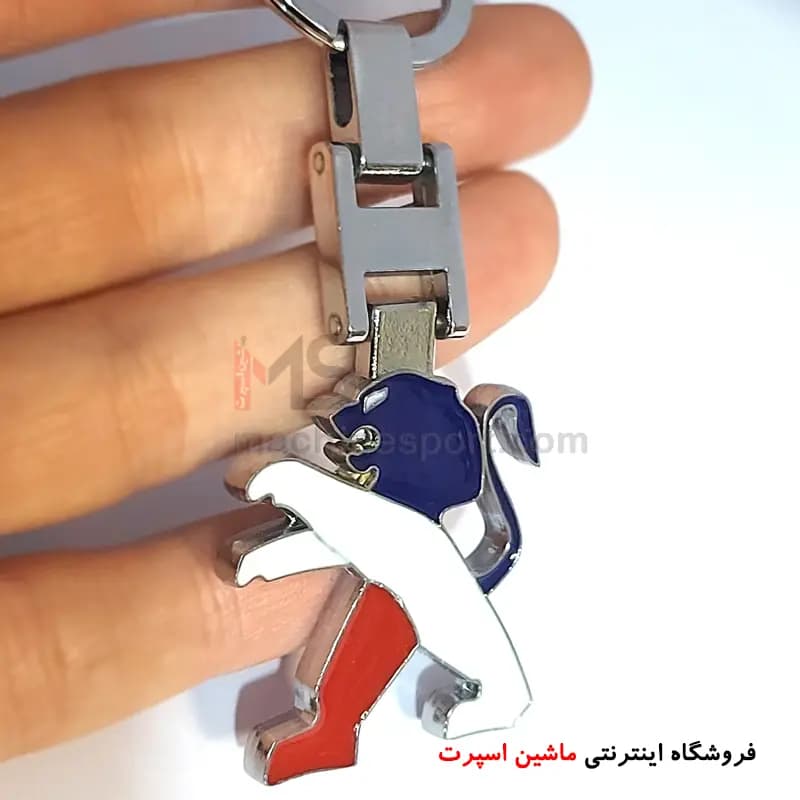جاسوئیچی پژو سه رنگ پرچمی سه بعدی — تصویر ۲