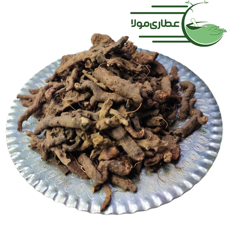 ریشه انجبار — تصویر ۳