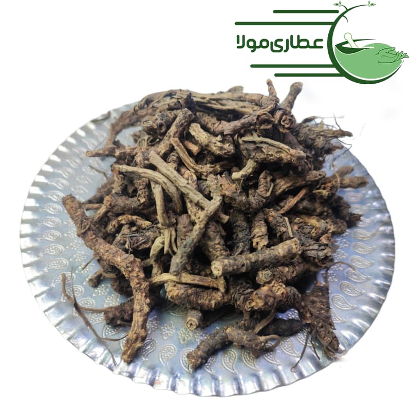 خربق سفید — تصویر ۳