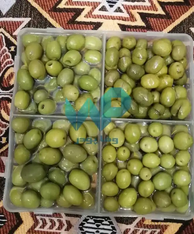 زیتون کنسروی — تصویر ۵