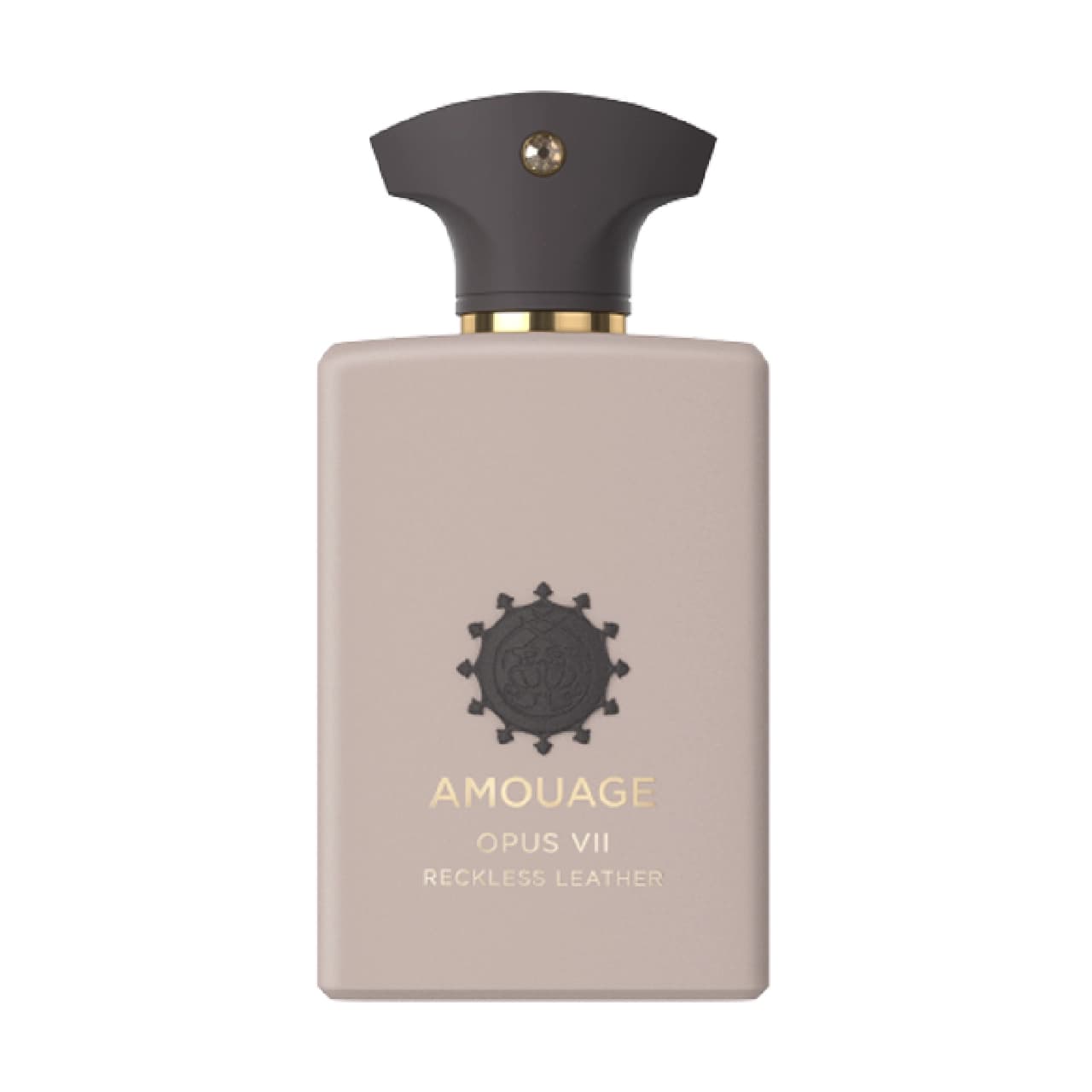 عطر آمواج اپوس هفتم رکلس لدر | Amouage Opus VII Reckless Leather