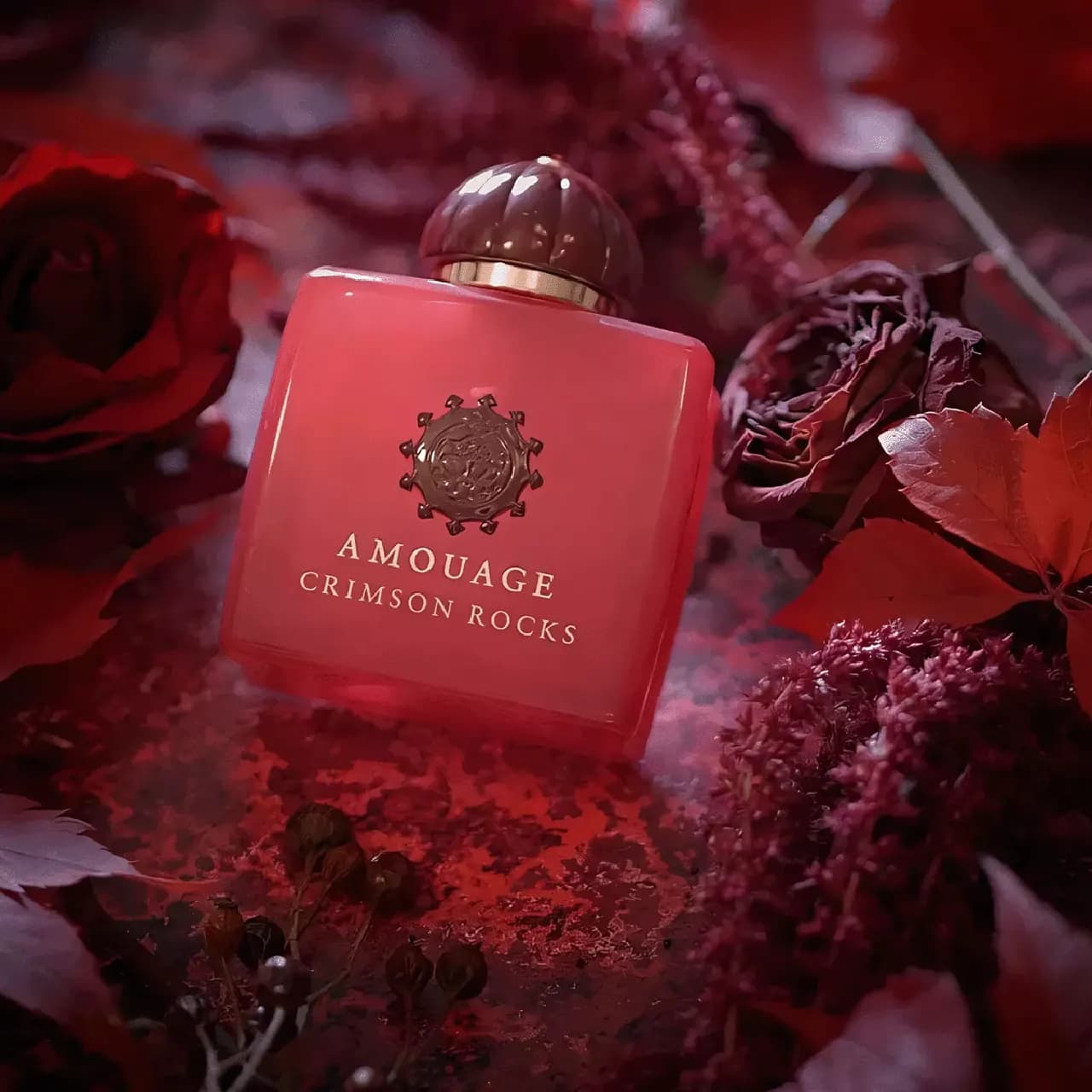 عطر آمواج کریمسون راکس | Amouage Crimson Rocks — تصویر ۳