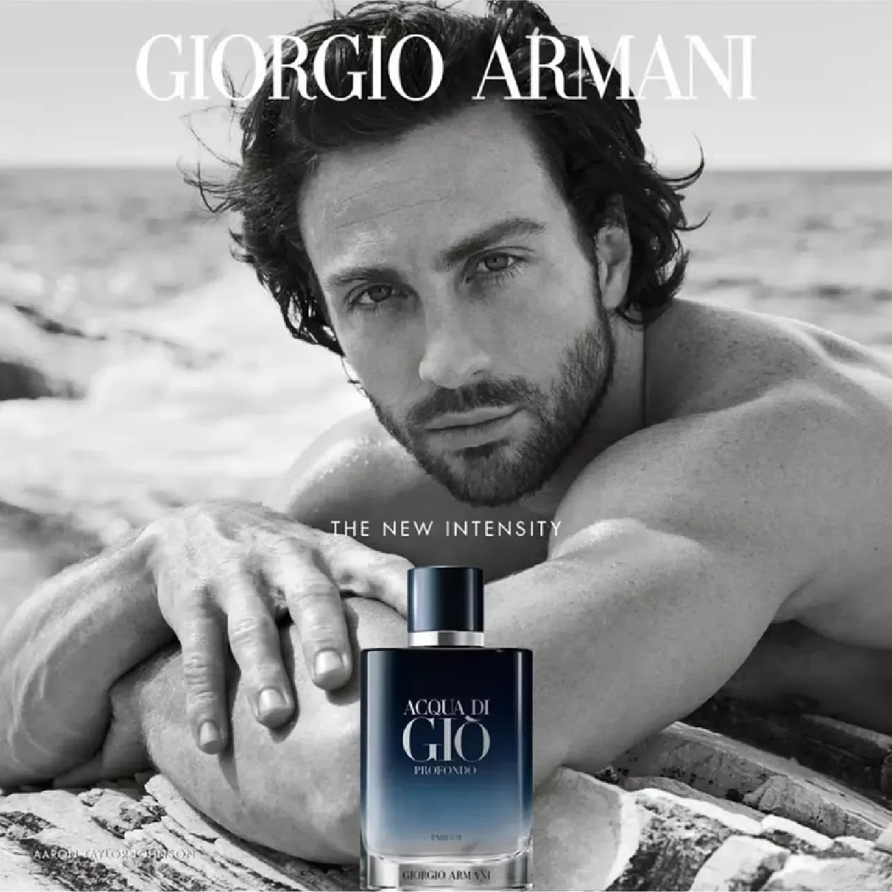 عطر جورجیو آرمانی آکوا دی جیو پروفوندو | Giorgio Armani Acqua di Gio Profondo (2024) — تصویر ۳