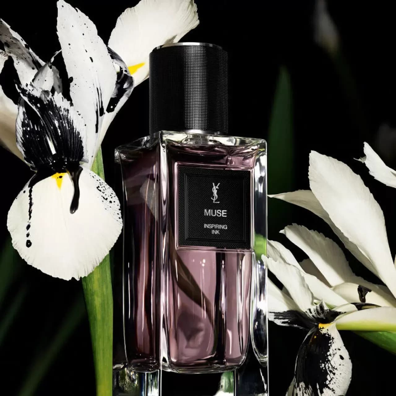 عطر ایو سن لوران میوز | Yves Saint Laurent Muse — تصویر ۲