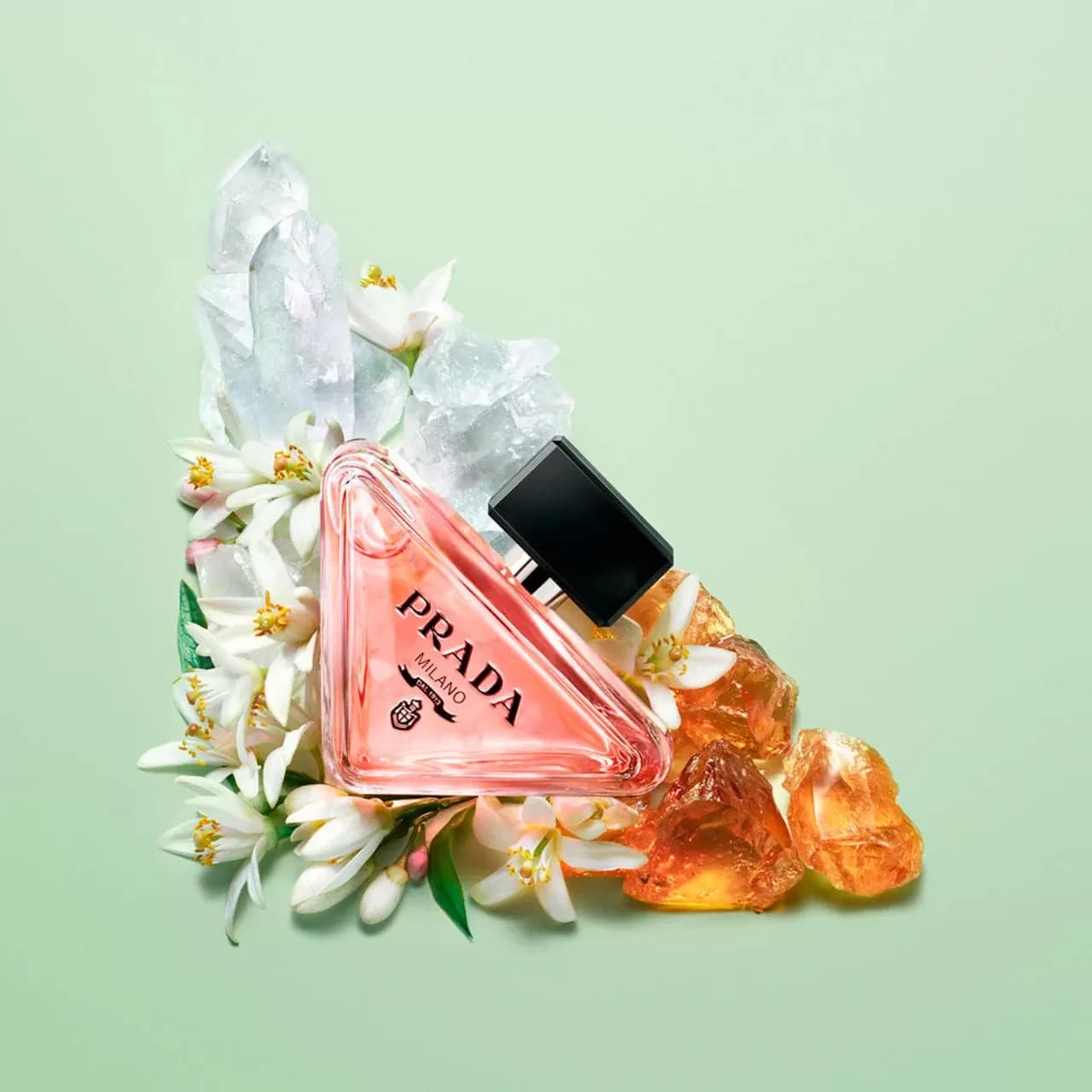 عطر زنانه پرادا پارادوکس | Prada Paradoxe — تصویر ۳