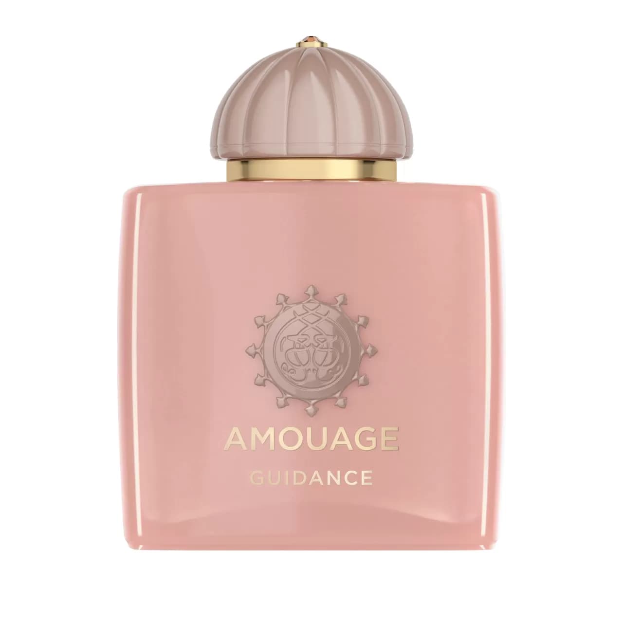 عطر آمواژ (آمواج) گایدنس | Amouage Guidance
