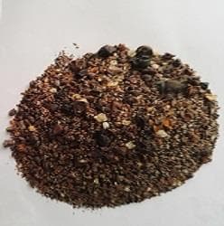 چهارتخمه — تصویر ۳