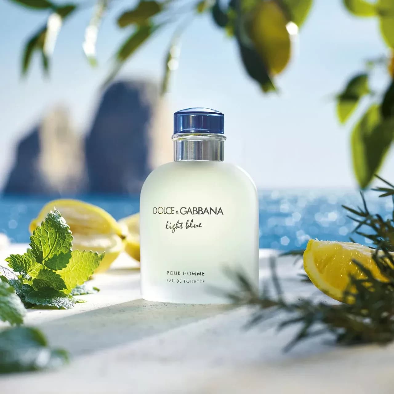 عطر دولچه اند گابانا لایت بلو مردانه | Dolce & Gabbana Light Blue pour Homme — تصویر ۳