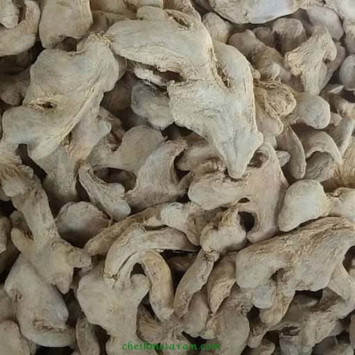 زنجبیل نکوبیده | زنجبیل قلم — تصویر ۲