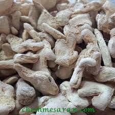 زنجبیل نکوبیده | زنجبیل قلم