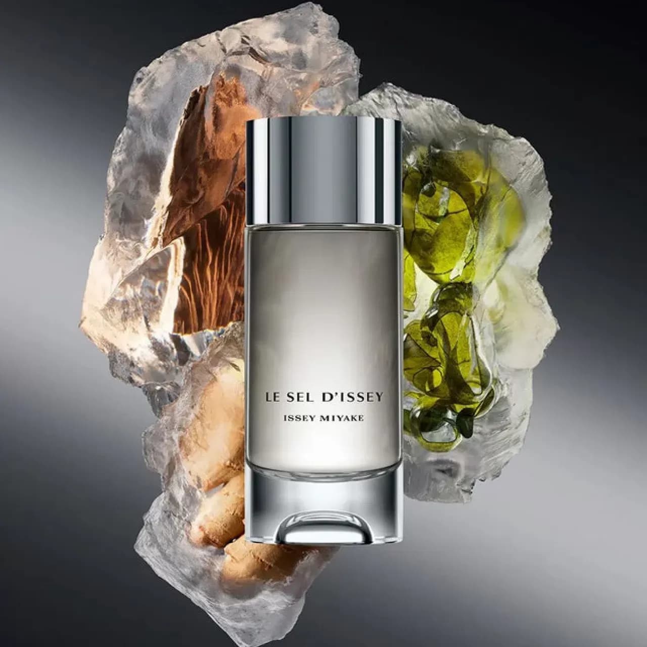 عطر ایسی میاکی لو سل د ایسی | Issey Miyake Le Sel d’Issey — تصویر ۳
