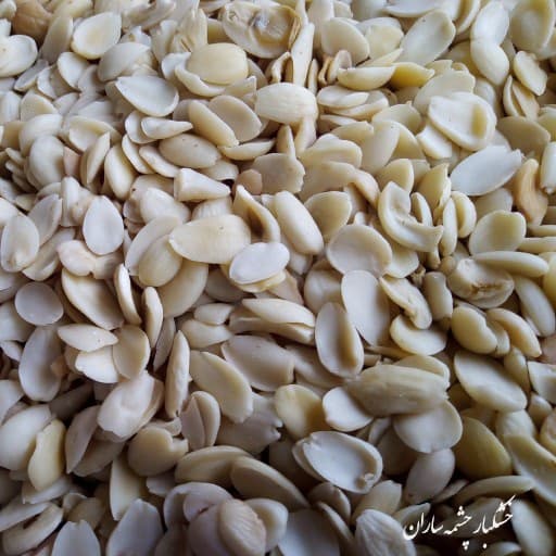 تندچه زردالو — تصویر ۲