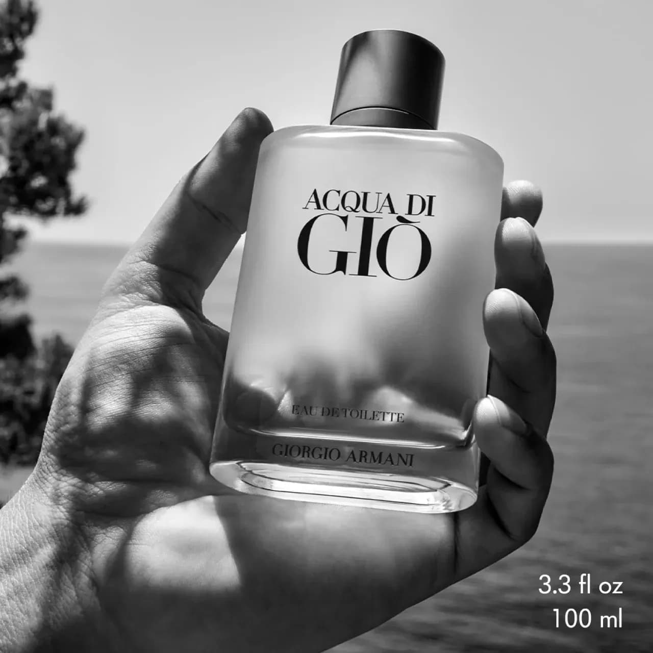 عطر جورجیو آرمانی آکوا دی جیو مردانه (جیو سفید) | Giorgio Armani Acqua di Gio — تصویر ۵