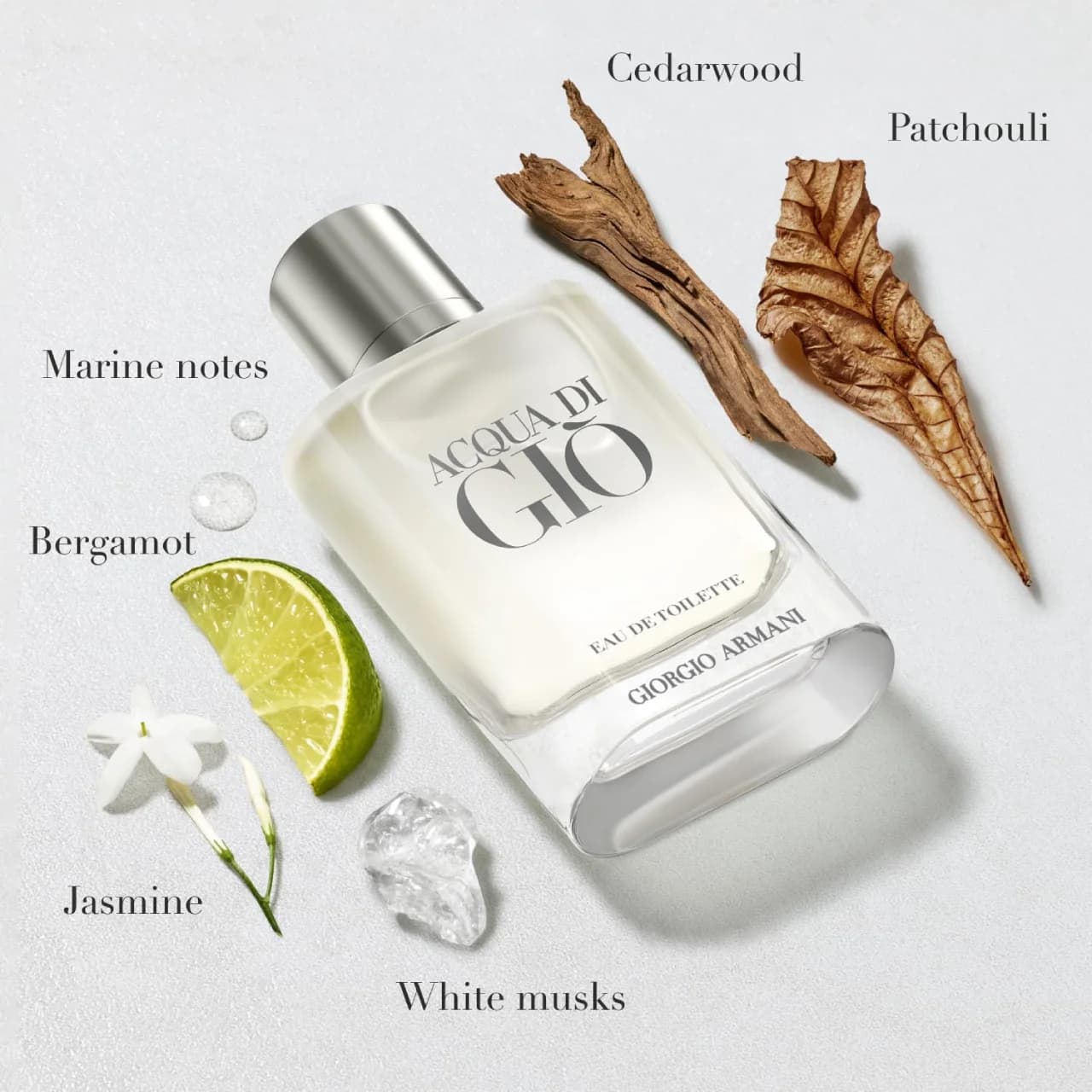 عطر جورجیو آرمانی آکوا دی جیو مردانه (جیو سفید) | Giorgio Armani Acqua di Gio — تصویر ۳