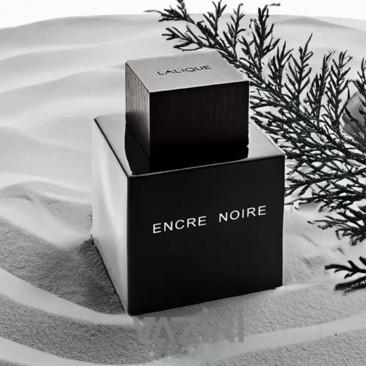 عطر لالیک انکر نوآر / نویر (لالیک مشکی) مردانه | Lalique Encre Noire — تصویر ۴