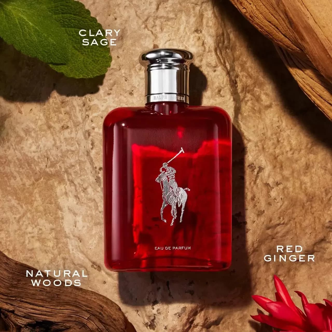 عطر رالف لورن پولو رد (قرمز) ادوپرفیوم | Ralph Lauren Polo Red EDP — تصویر ۳