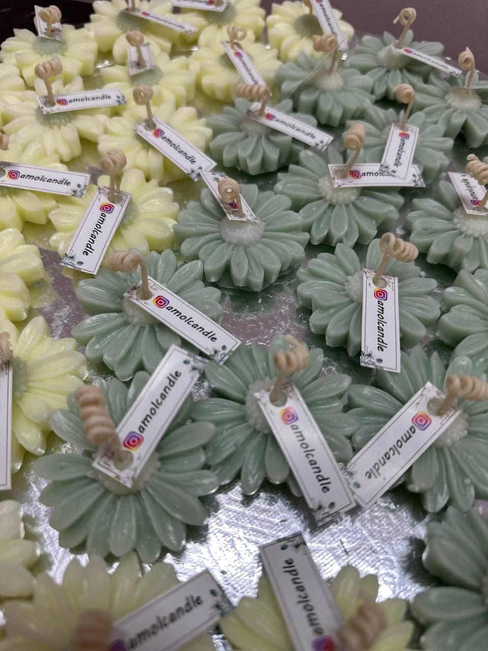 شمع گل بابونه( عمده)