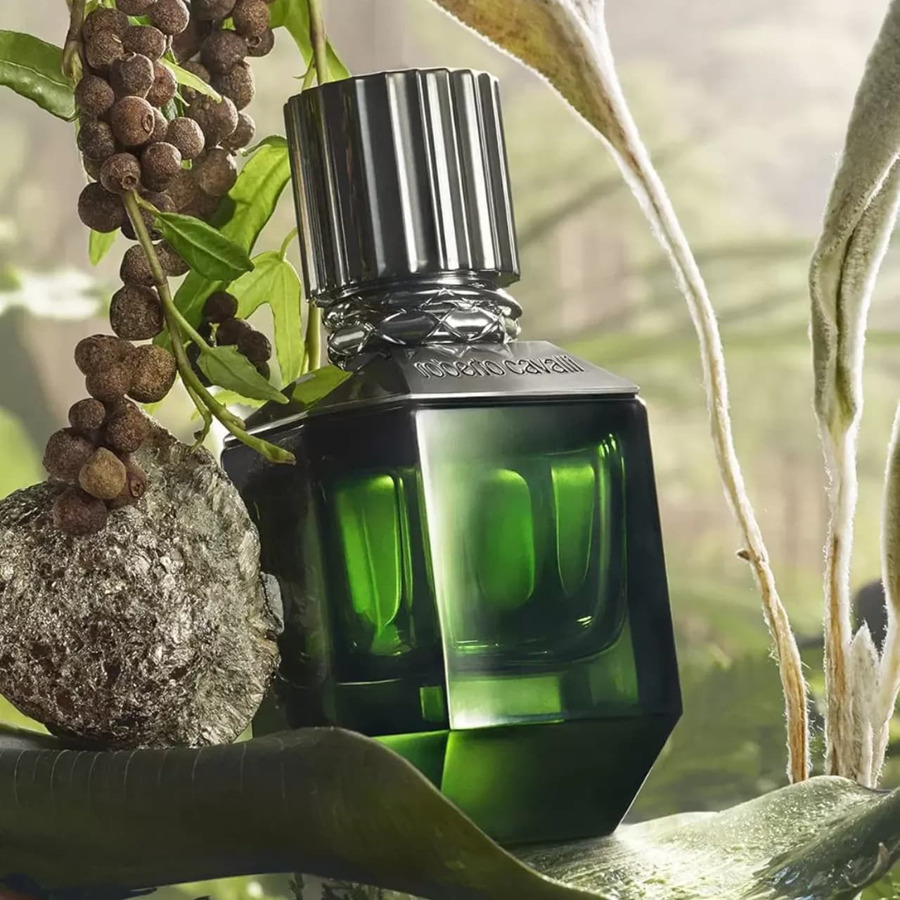 عطر روبرتو کاوالی پارادایس فاوند مردانه | Roberto Cavalli Paradise Found For Men — تصویر ۳