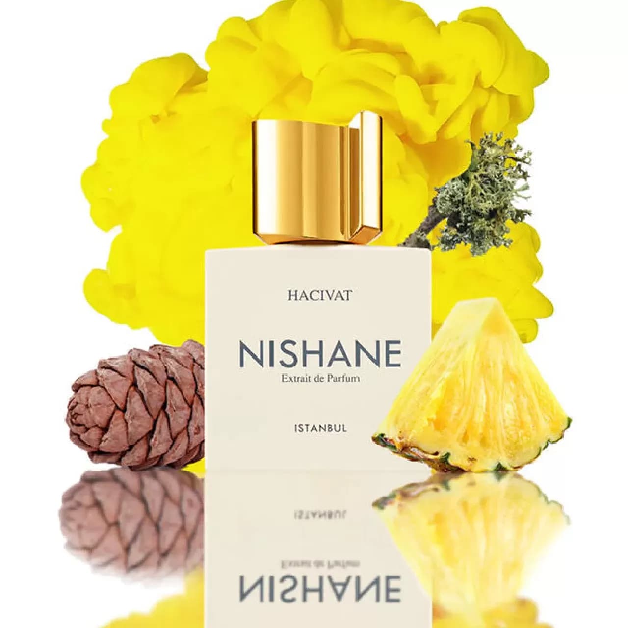 عطر نیشانه حاجیوات (هاچیوات) | Nishane Hacivat — تصویر ۳
