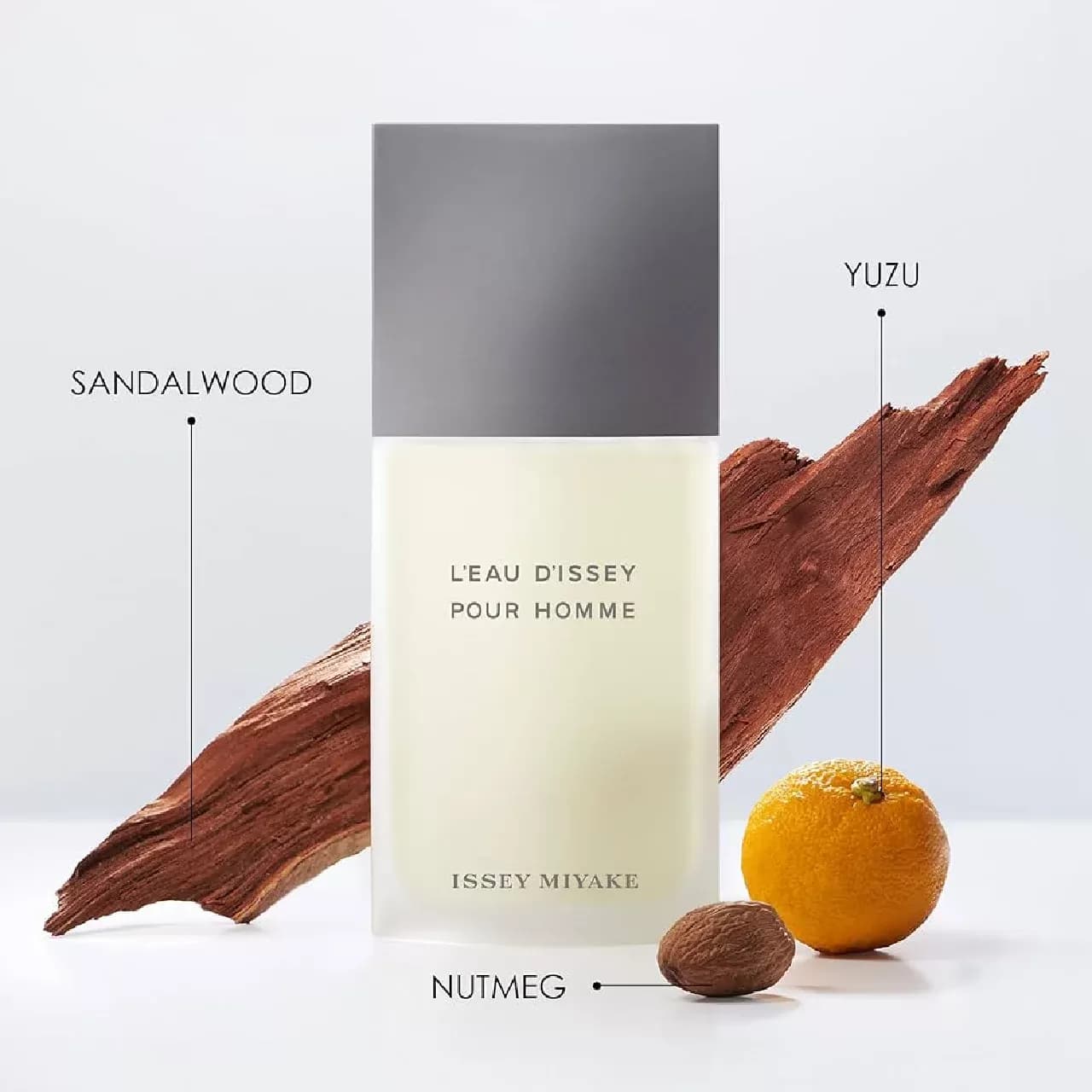 عطر ایسی میاکه لئو د ایسی مردانه | Issey Miyake L’Eau D’Issey Pour Homme — تصویر ۲