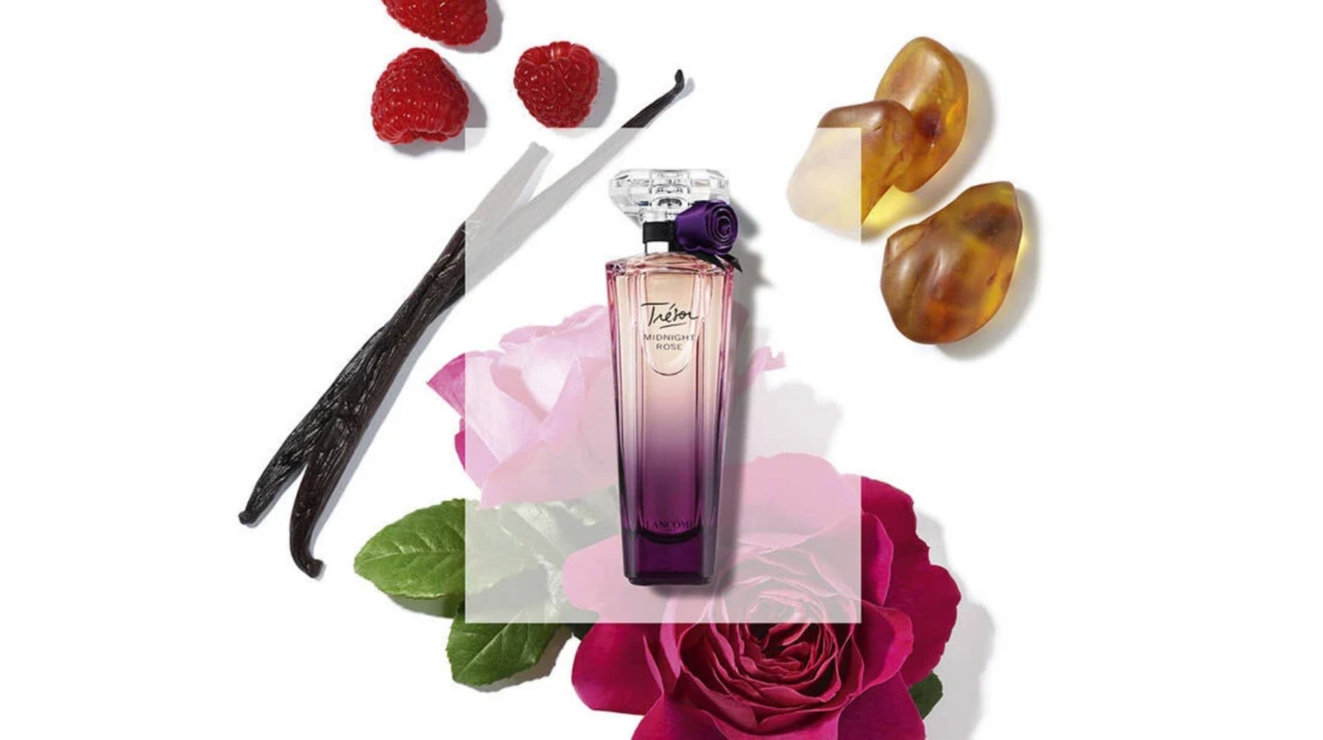 عطر لانکوم ترزور میدنایت رز | Lancome Tresor Midnight Rose — تصویر ۱۱