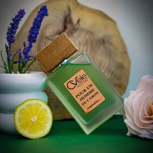 عطر ادکلن کارون پوران هوم-vip گرید
