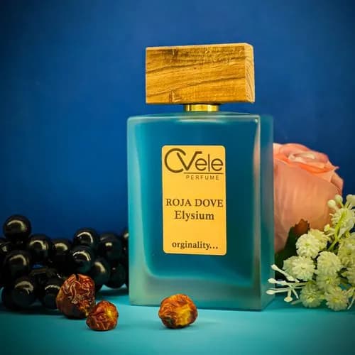 عطر مردانه رژاداو الیزیوم – vip گرید