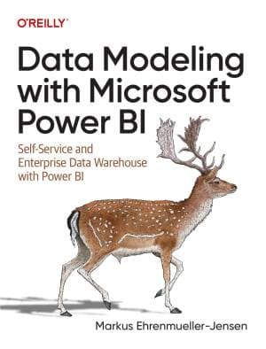 کتاب Data Modeling with Microsoft Power BI: Self-Service and Enterprise Data Warehouses with Power BI — تصویر ۲