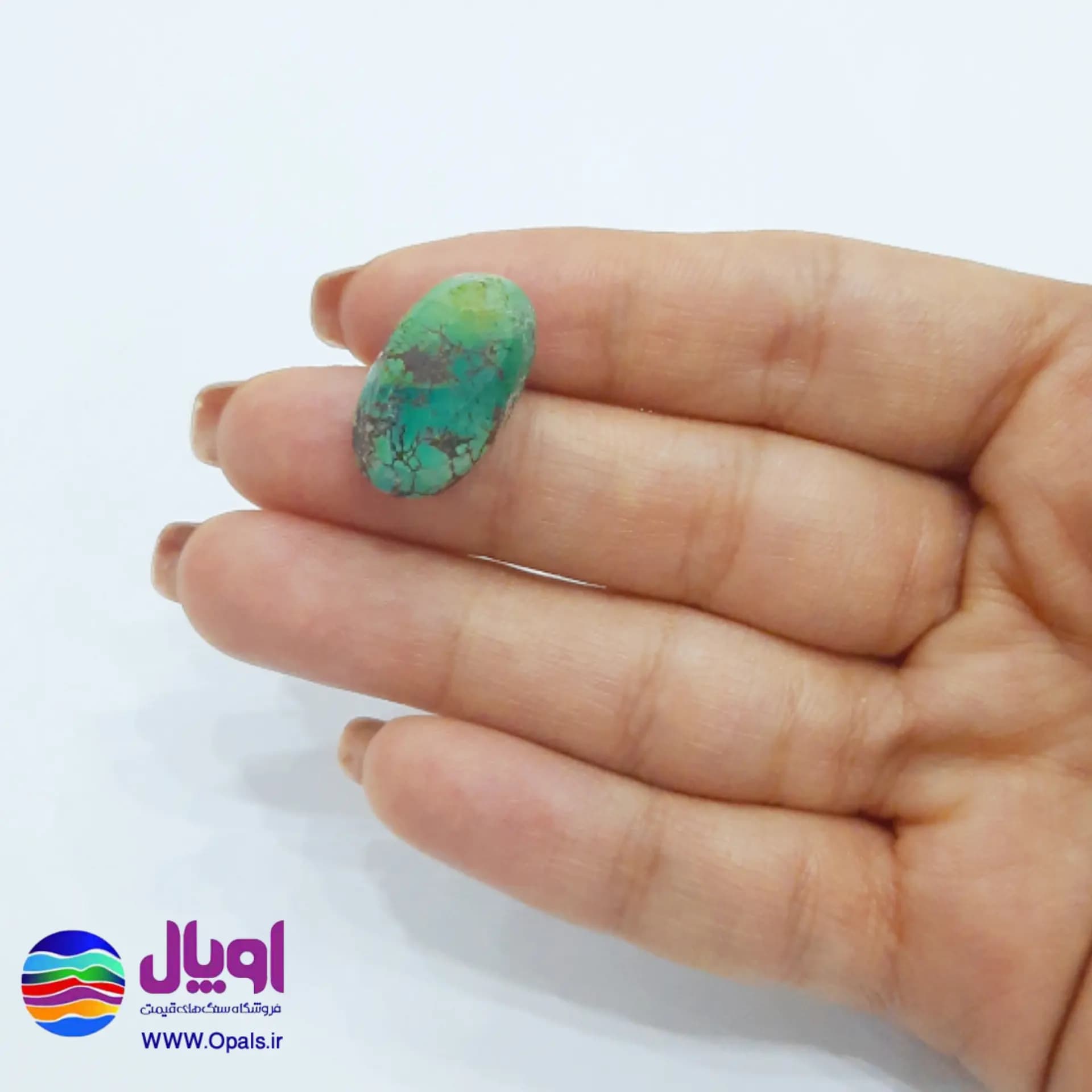 نگین فیروزه نیشابور بیضی 2.07 گرم — تصویر ۴