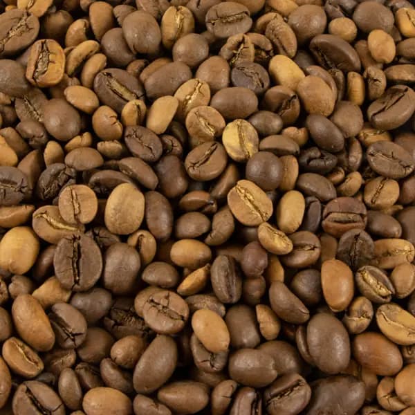 قهوه میکس عربیکا 50 – 50 روبوستا — تصویر ۲