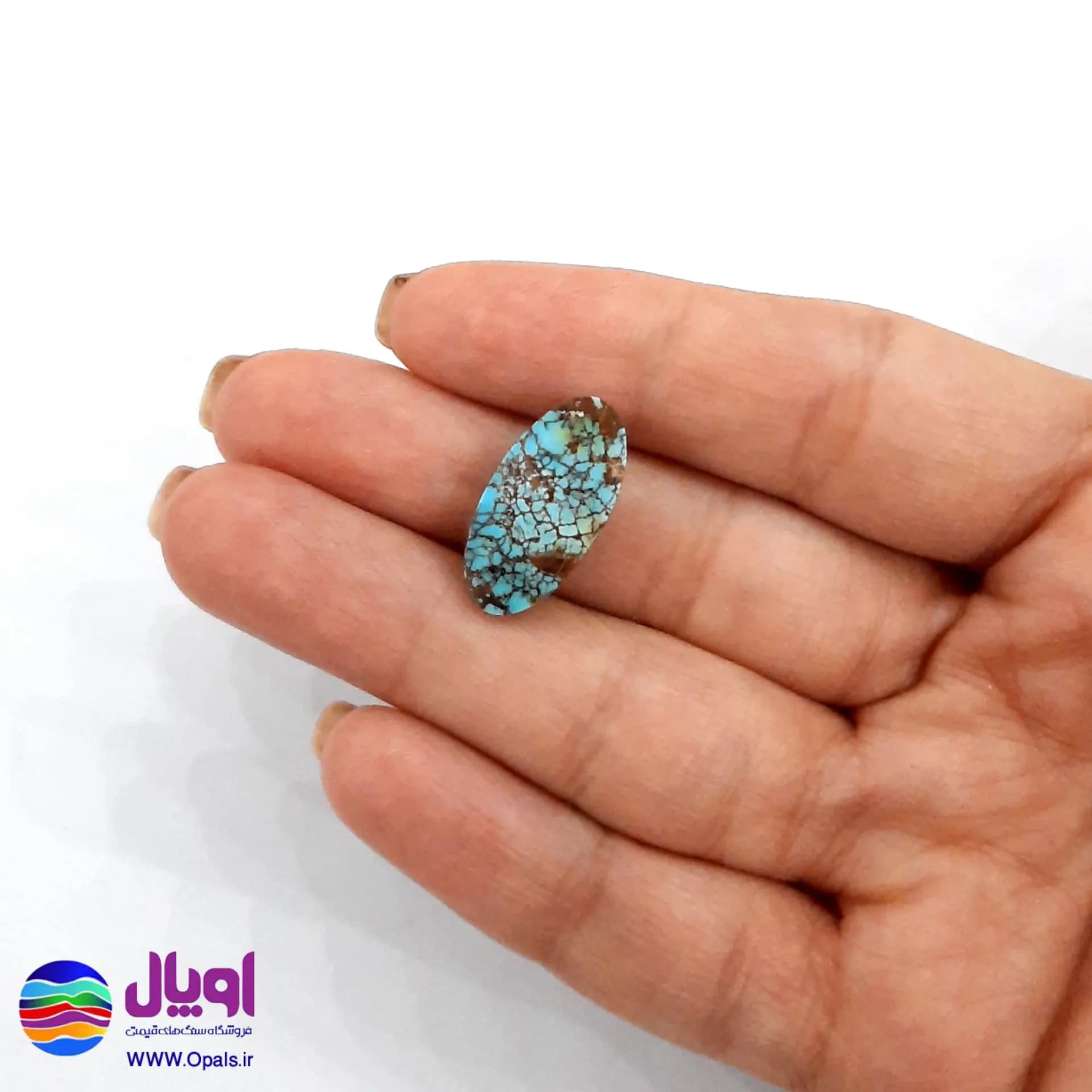 نگین فیروزه نیشابور بیضی 1.26 گرم — تصویر ۳