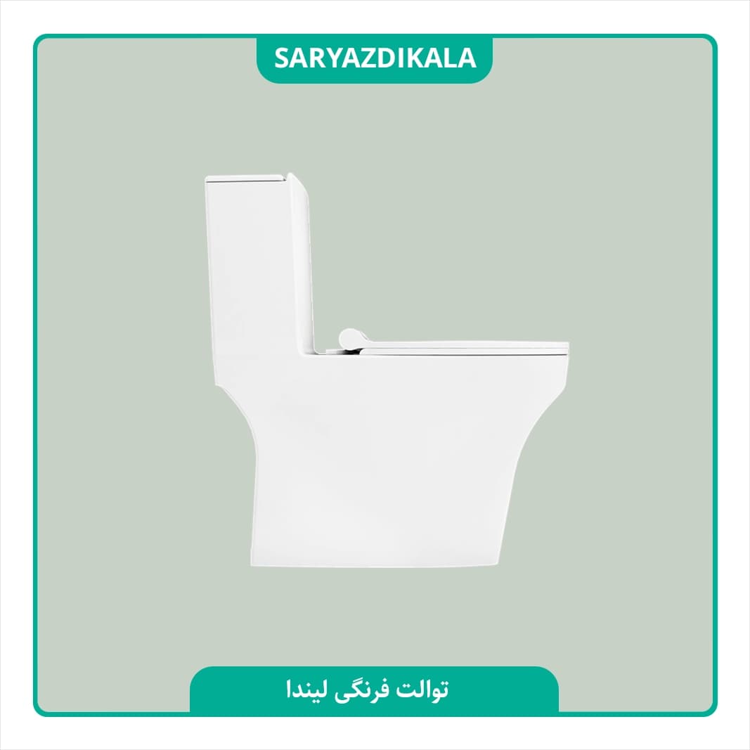 توالت فرنگی لیندا چینی کرد — تصویر ۳