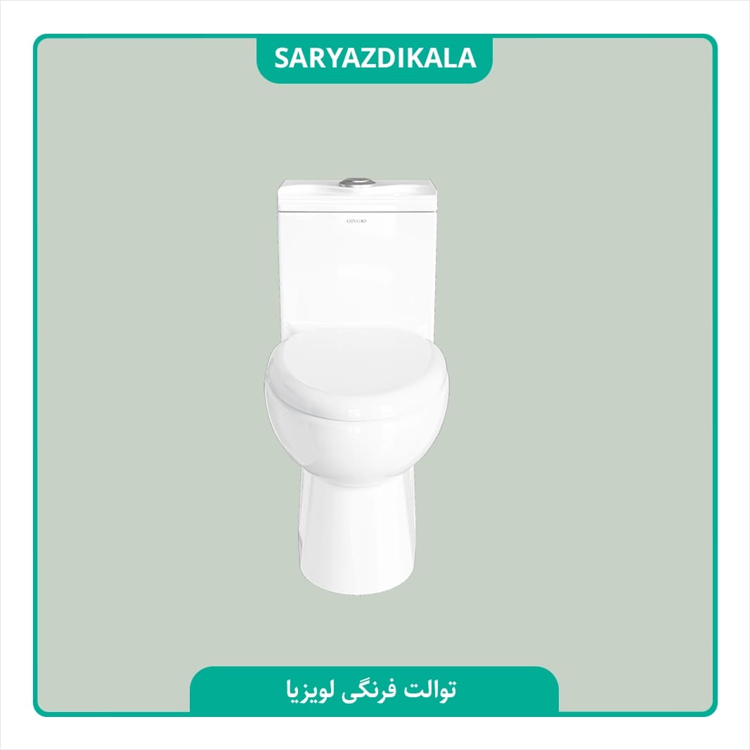 توالت فرنگی لویزا چینی کرد — تصویر ۴
