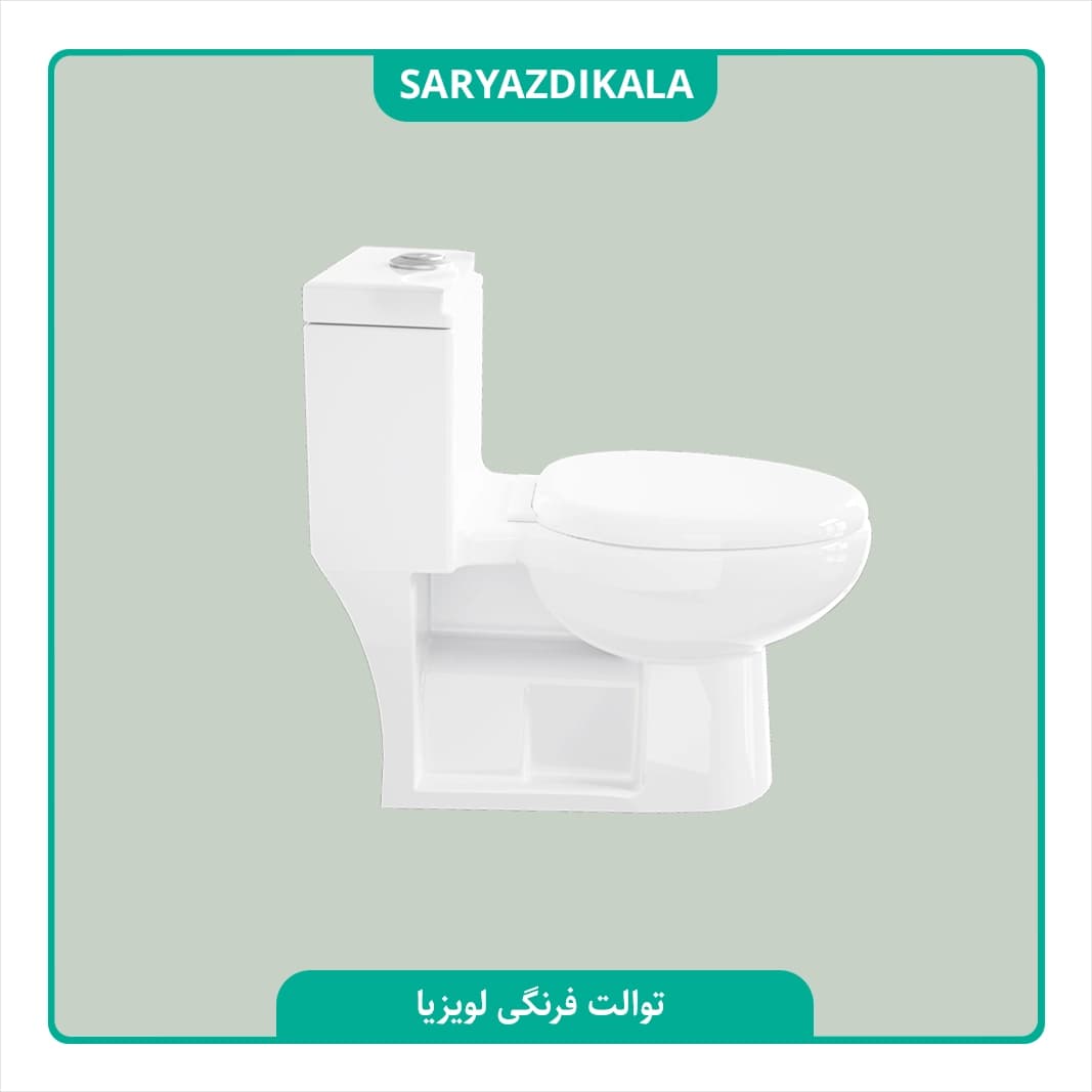توالت فرنگی لویزا چینی کرد — تصویر ۳