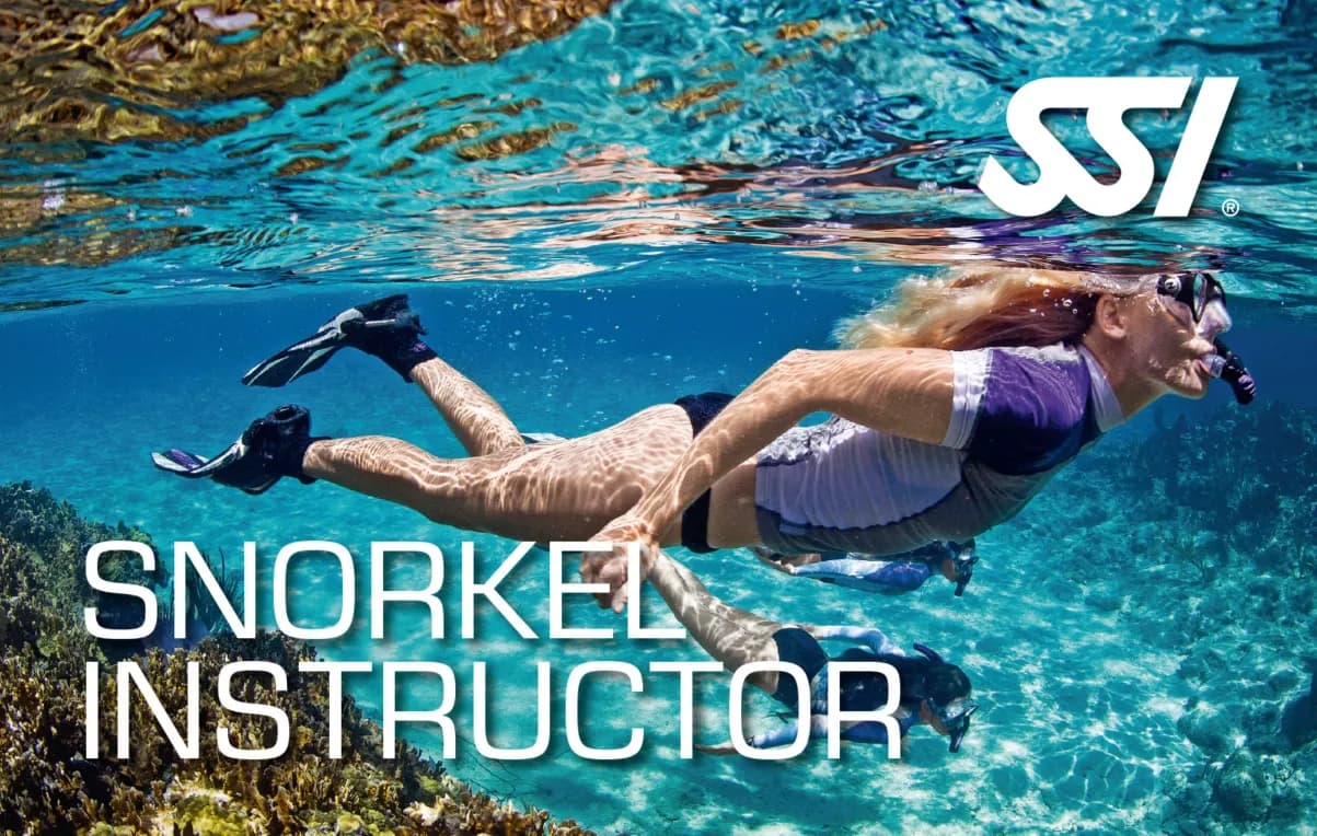 دوره آموزش مربیگری اسنورکلینگ SSI Snorkel Instructor | ورود حرفه‌ای به دنیای آموزش زیر آب