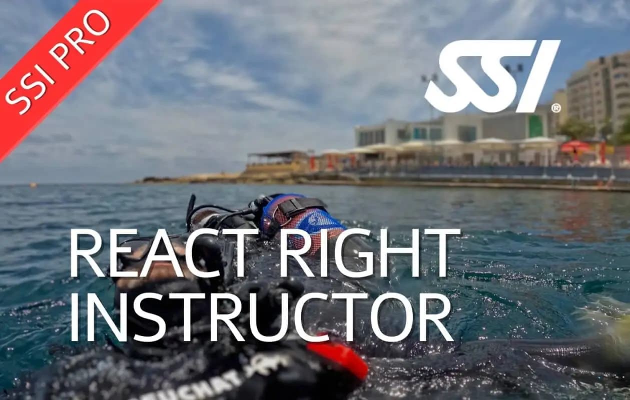 دوره آموزشی مربیگری SSI React Right Instructor