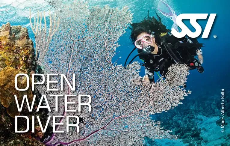 دوره آموزش غواصی آب های آزاد SSI Open Water Diver