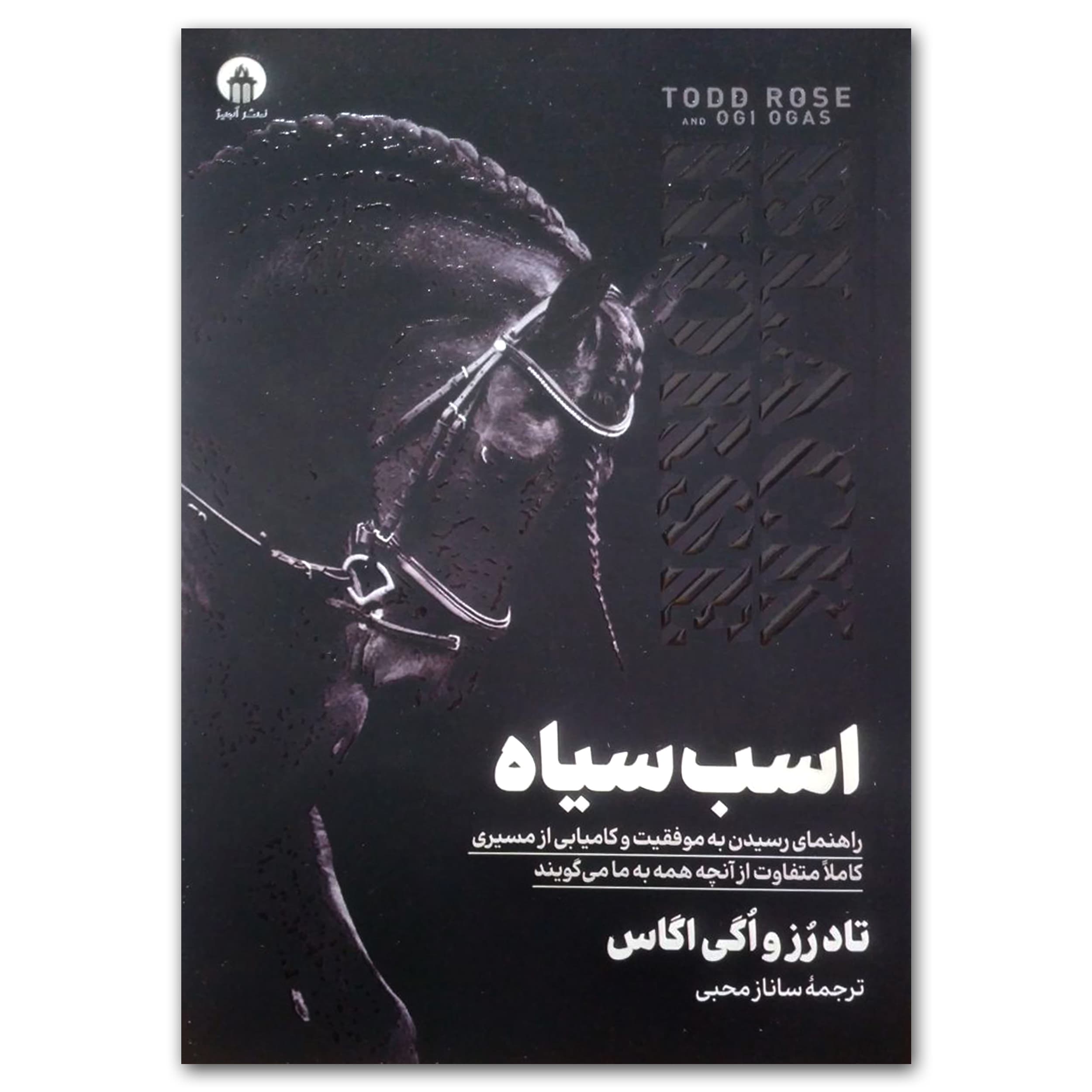 کتاب اسب سیاه اثر تاد رز و اگی اگاس نشر آبیژ