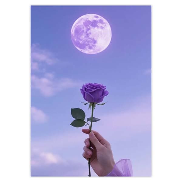 پوستر رز بنفش و ماه