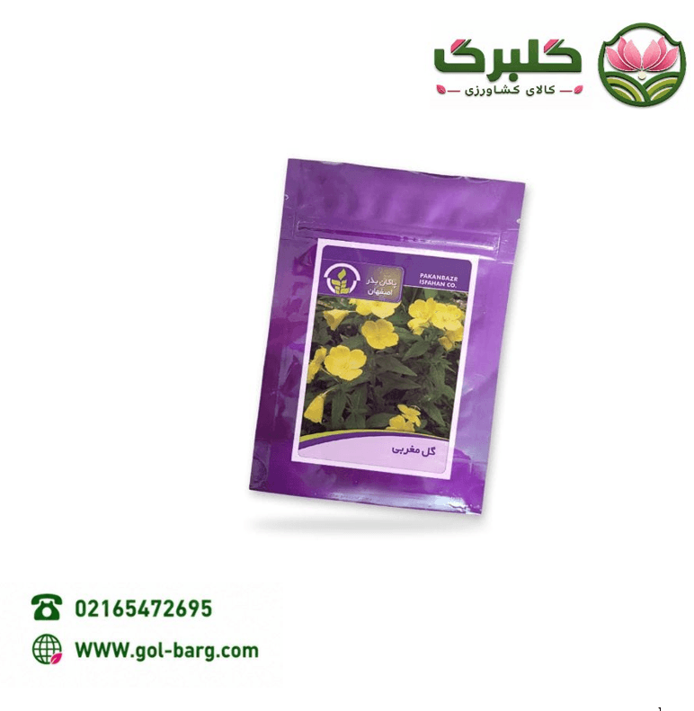 بذر گل مغربی پاکان بذر پاکت خانگی