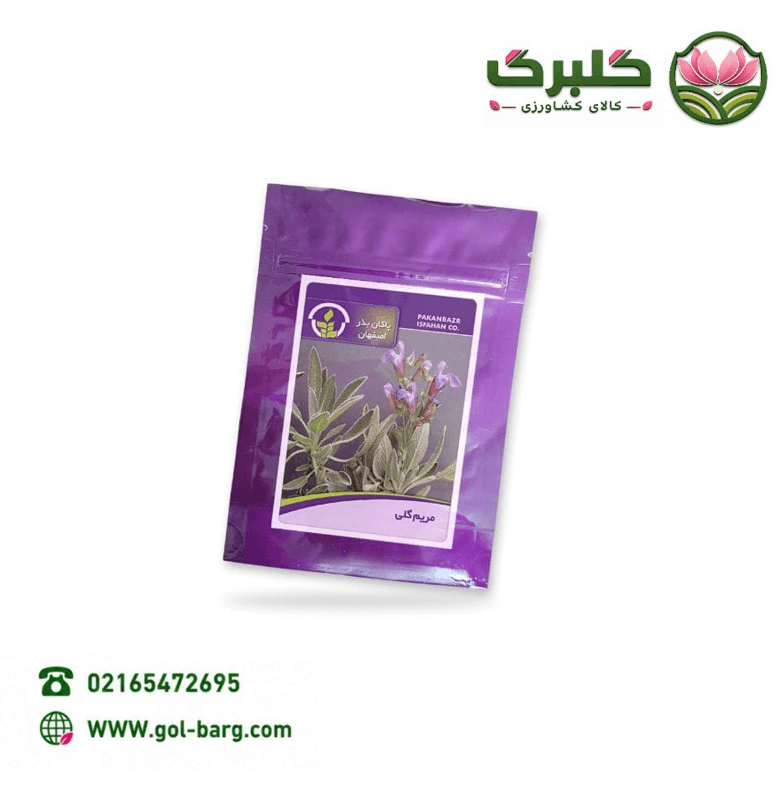 بذر مریم گلی پاکان بذر پاکت خانگی