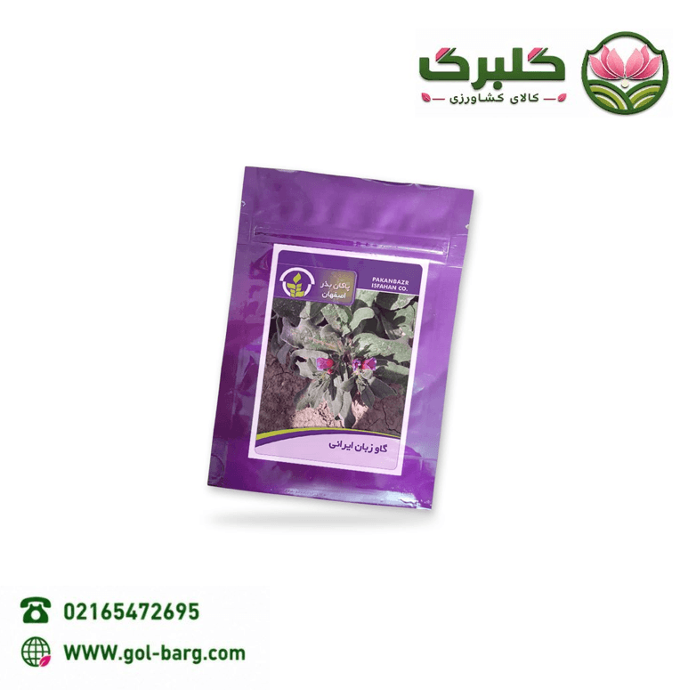 بذر گل گاو زبان پاکان بذر پاکت خانگی