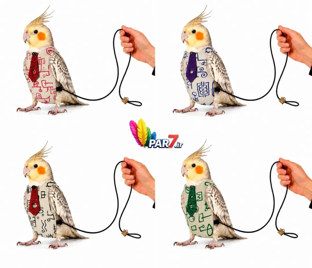 پوشک عروس هلندی ، گرینچیک، راهب — تصویر ۳