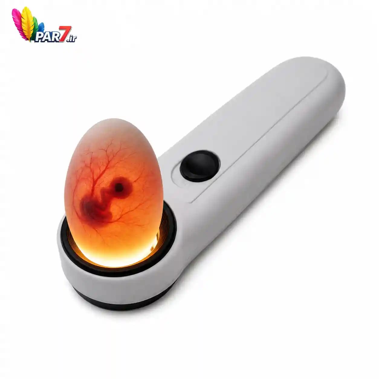 چراغ تشخیص نطفه تخم‌پرندگان