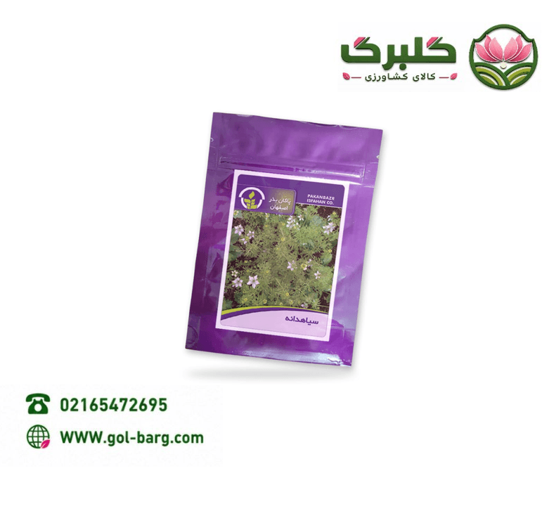 بذر سیاه دانه پاکان بذر پاکت خانگی