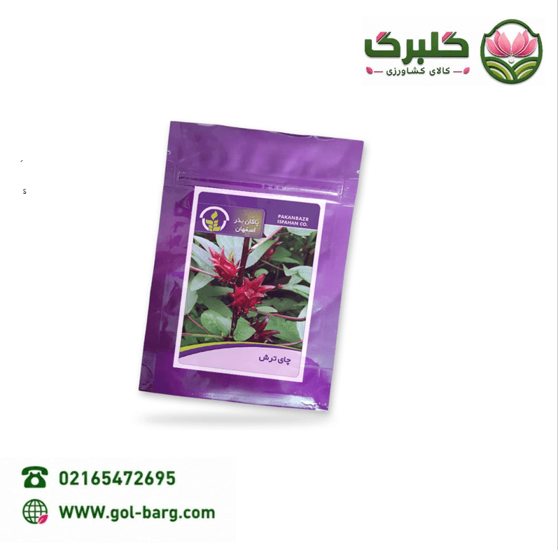 بذر چای ترش پاکان بذر پاکت خانگی