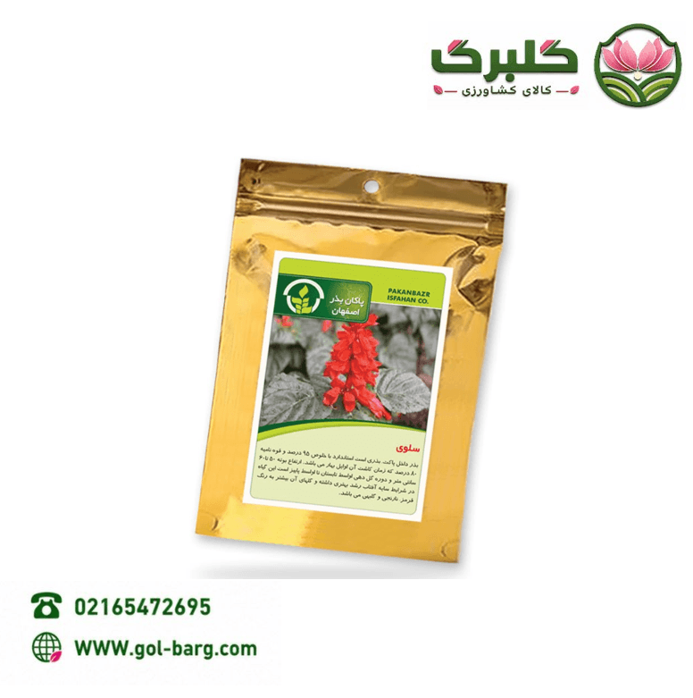 بذر گل سلوی پاکان بذر پاکت خانگی