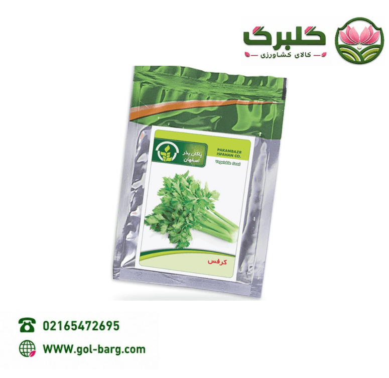 بذر کرفس پاکان بذر پاکت خانگی