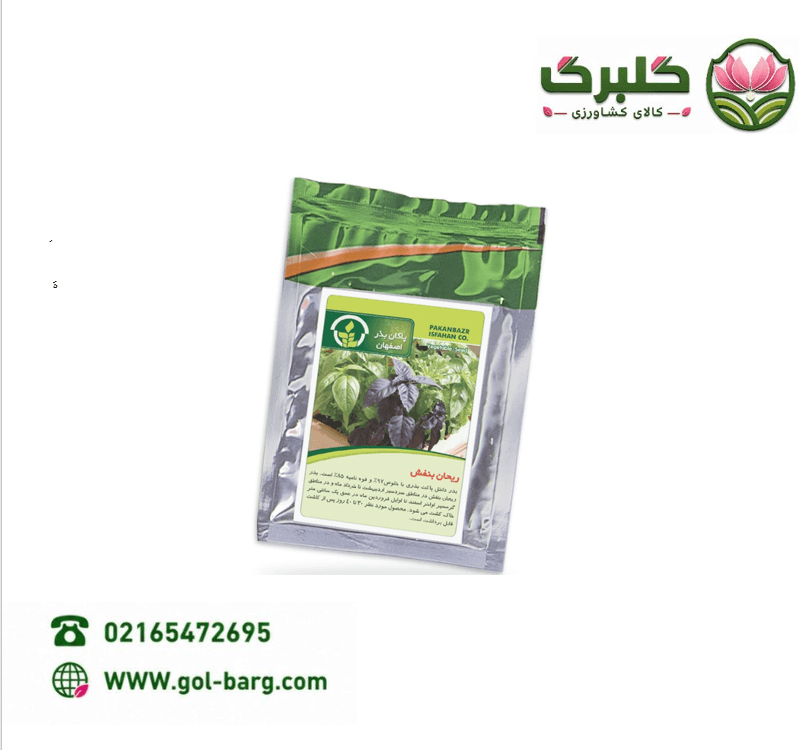 بذر ریحان بنفش پاکان بذر پاکت خانگی